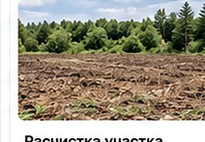 Расчистка участка